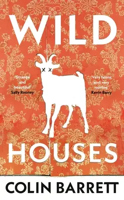 Divoké domy - jeden z debutových románov Observera na rok 2024 - Wild Houses - One of the Observer's Debut Novels of 2024