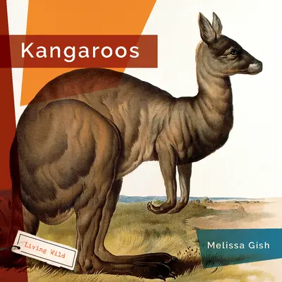 Klokany - Kangaroos