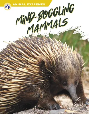 Ohromujúce cicavce - Mind-Boggling Mammals