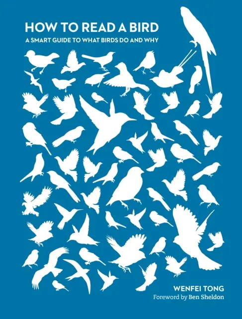 Ako čítať vo vtákoch - Inteligentný sprievodca tým, čo vtáky robia a prečo - How to Read a Bird - A Smart Guide to What Birds Do and Why