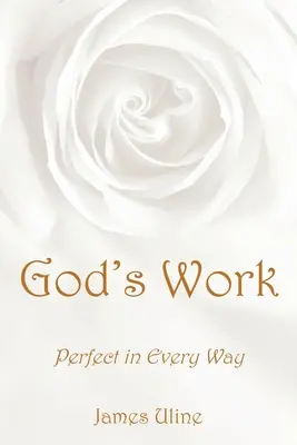 Božie dielo: Dokonalé v každom ohľade - God's Work: Perfect in Every Way