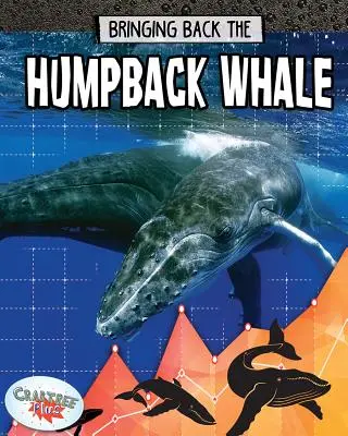 Návrat veľryby hrbatej - Bringing Back the Humpback Whale