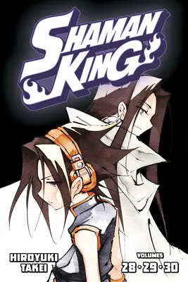 Shaman King Omnibus 10 (zv. 28-30) - Shaman King Omnibus 10 (Vol. 28-30)