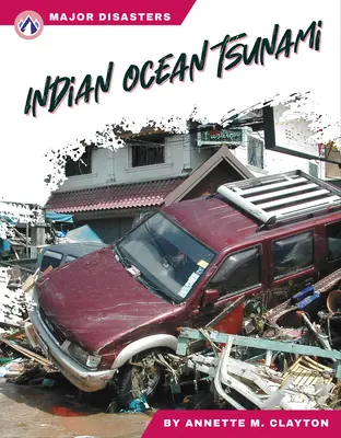Cunami v Indickom oceáne - Indian Ocean Tsunami