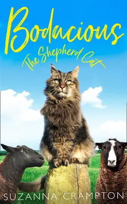 Bodacious: Pastierska mačka - Bodacious: The Shepherd Cat