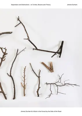 Jimmie Durham a palica v lese pri ceste: O korytnačkách, bozónoch a teórii - Jimmie Durham & a Stick in the Forest by the Side of the Road: Separation and Distinctions - On Turtles, Bosons and Theory