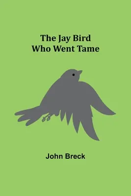 Vták sojka, ktorý skrotol - The Jay Bird Who Went Tame