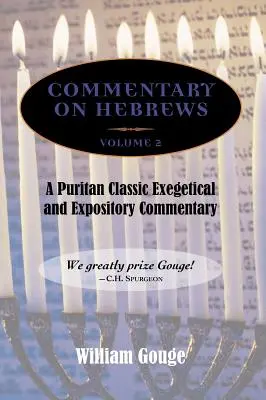 Komentár k listu Židom: (8-13) - Commentary on Hebrews: Exegetical and Expository - Vol. 2 (8-13)