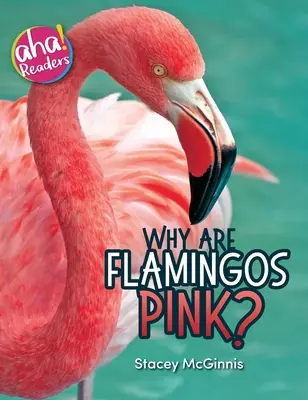 Prečo sú plameniaky ružové? - Why Are Flamingos Pink?