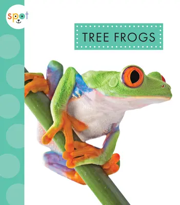 Stromové žaby - Tree Frogs
