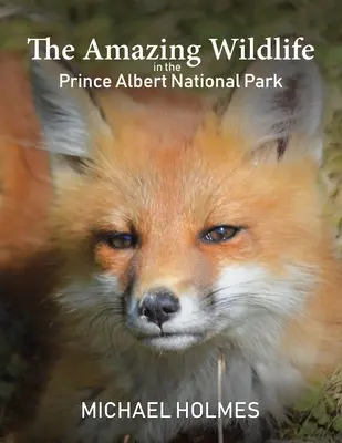 Úžasná divoká príroda v národnom parku Prince Albert - The Amazing Wildlife in the Prince Albert National Park