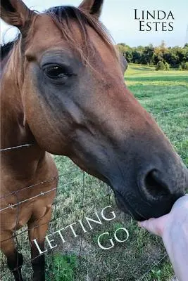Púšťať sa - Letting Go