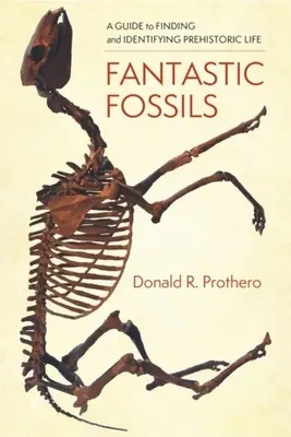 Fantastické skameneliny: Príručka o hľadaní a identifikácii prehistorického života - Fantastic Fossils: A Guide to Finding and Identifying Prehistoric Life