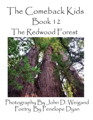 Návrat detí, kniha 12, les červeného dreva - The Comeback Kids, Book 12, the Redwood Forest