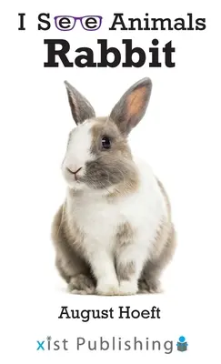 Králik - Rabbit