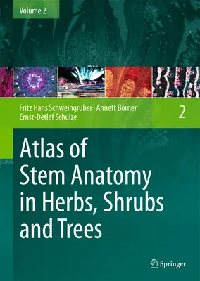 Atlas anatómie stoniek bylín, kríkov a stromov: Zväzok 2 Atlas drevín a rastlín, rastlín a drevín, rastlín a drevín - Atlas of Stem Anatomy in Herbs, Shrubs and Trees: Volume 2