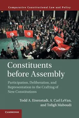 Ústavodarcovia pred zhromaždením: Účasť, rokovanie a reprezentácia pri tvorbe nových ústav - Constituents Before Assembly: Participation, Deliberation, and Representation in the Crafting of New Constitutions