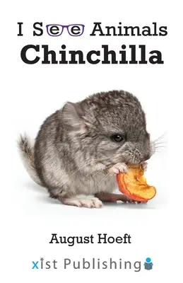 Činčila - Chinchilla