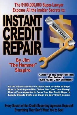Okamžitá oprava úveru - Instant Credit Repair