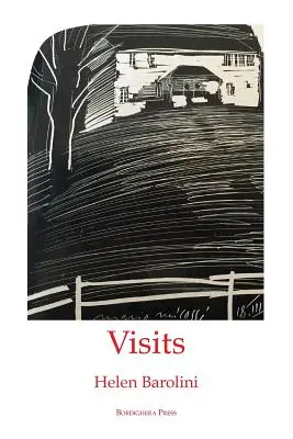 Návštevy - Visits