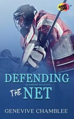 Obrana siete - Defending the Net