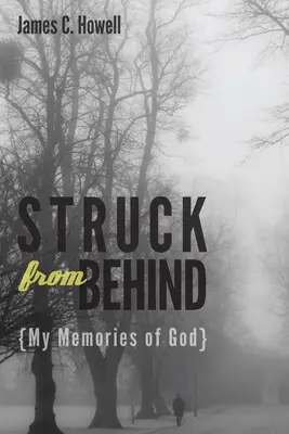 Zasiahnutý zozadu: Moje spomienky na Boha - Struck from Behind: My Memories of God