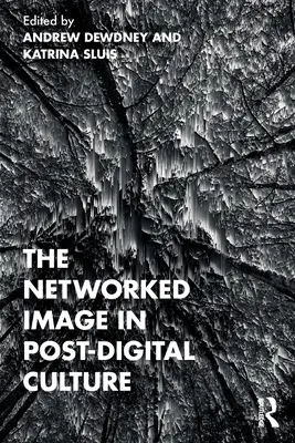 Sieťový obraz v postdigitálnej kultúre - The Networked Image in Post-Digital Culture