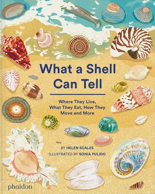 Čo dokáže povedať mušľa - What a Shell Can Tell
