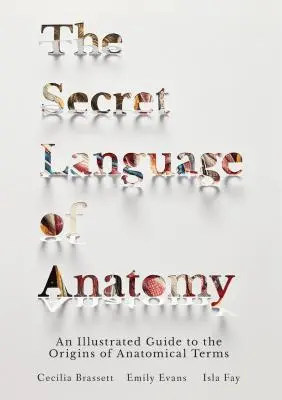 Tajný jazyk anatómie: Ilustrovaný sprievodca pôvodom anatomických termínov - The Secret Language of Anatomy: An Illustrated Guide to the Origins of Anatomical Terms
