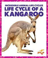 Životný cyklus klokana - Life Cycle of a Kangaroo