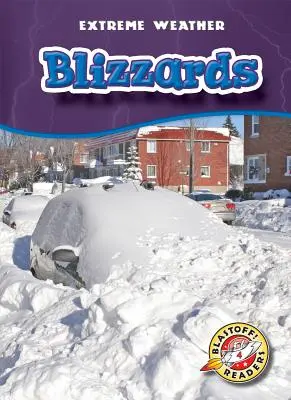 Blizzardy - Blizzards