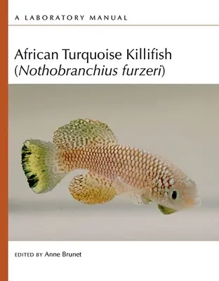 Africká tyrkysová rybka (Nothobranchius Furzeri): A Laboratory Manual (Laboratórna príručka) - African Turquoise Killifish (Nothobranchius Furzeri): A Laboratory Manual