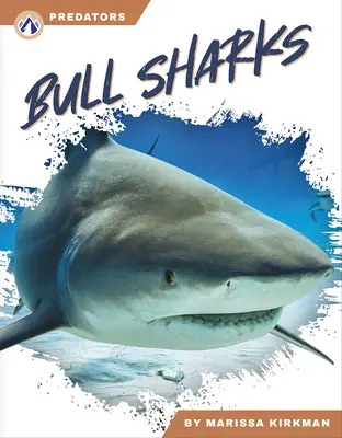 Býčie žraloky - Bull Sharks