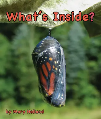 Čo je vo vnútri? - What's Inside?