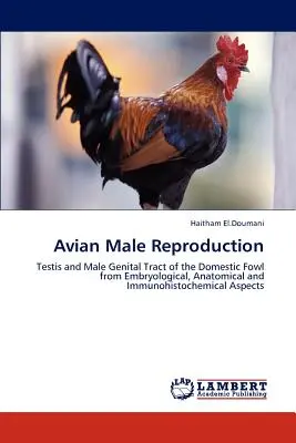 Reprodukcia vtáčích samcov - Avian Male Reproduction