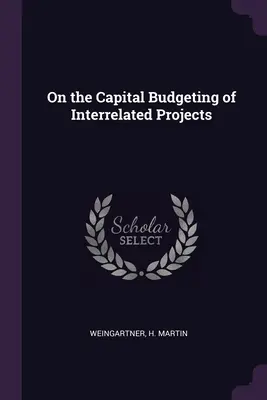 O kapitálovom rozpočtovaní vzájomne súvisiacich projektov - On the Capital Budgeting of Interrelated Projects