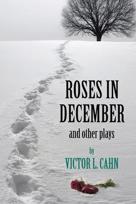Ruže v decembri - Roses in December