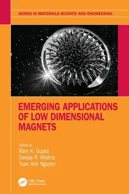 Nové aplikácie nízkorozmerných magnetov - Emerging Applications of Low Dimensional Magnets