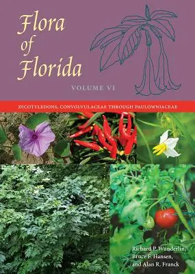 Flóra Floridy, zväzok VI: Dicotyledons, Convolvulaceae through Paulowniaceae - Flora of Florida, Volume VI: Dicotyledons, Convolvulaceae through Paulowniaceae