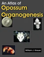 Atlas organogenézy vačkovcov: Vývoj opíc - An Atlas of Opossum Organogenesis: Opossum Development