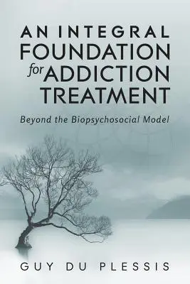 Integrálny základ pre liečbu závislostí: Základný princíp pre závislosť od drog: nad rámec biopsychosociálneho modelu - An Integral Foundation for Addiction Treatment: Beyond the Biopsychosocial Model