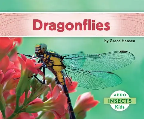 Vážky - Dragonflies