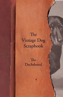 Historický album o psoch - jazvečík - The Vintage Dog Scrapbook - The Dachshund