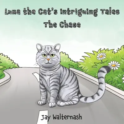 Intrigy mačky Luny: naháňačka - Luna the Cat's Intriguing Tales: the Chase