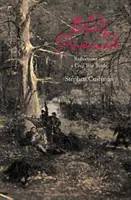 Krvavá promenáda: Úvahy o bitke v občianskej vojne - Bloody Promenade: Reflections on a Civil War Battle