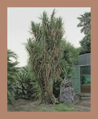 Oksun Kim: Ostrov Jeju - Oksun Kim: Jeju Island