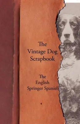 Historický album o psoch - Anglický špringeršpaniel - The Vintage Dog Scrapbook - The English Springer Spaniel