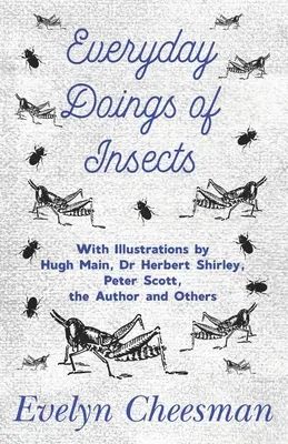 Každodenné činnosti hmyzu - s ilustráciami Hugha Main, Dr. Herberta Shirleyho, Petra Scotta, autora a ďalších - Everyday Doings of Insects - With Illustrations by Hugh Main, Dr Herbert Shirley, Peter Scott, the Author and Others