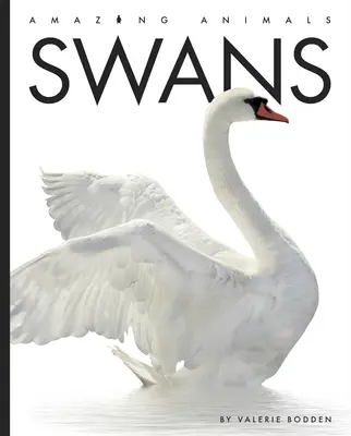 Labute - Swans