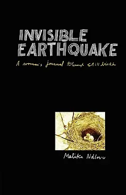 Neviditeľné zemetrasenie. denník ženy v období mŕtveho pôrodu - Invisible Earthquake. a Woman's Journal Through Still Birth